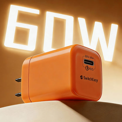 SwitchEasy PowerBuddy 60W GaN Fast Charging Wall Charger