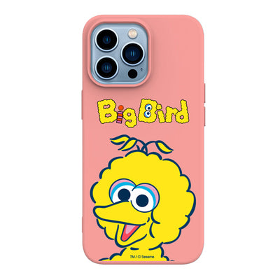 Sesame Street Liquid Silicone Soft Color Jelly Case Cover