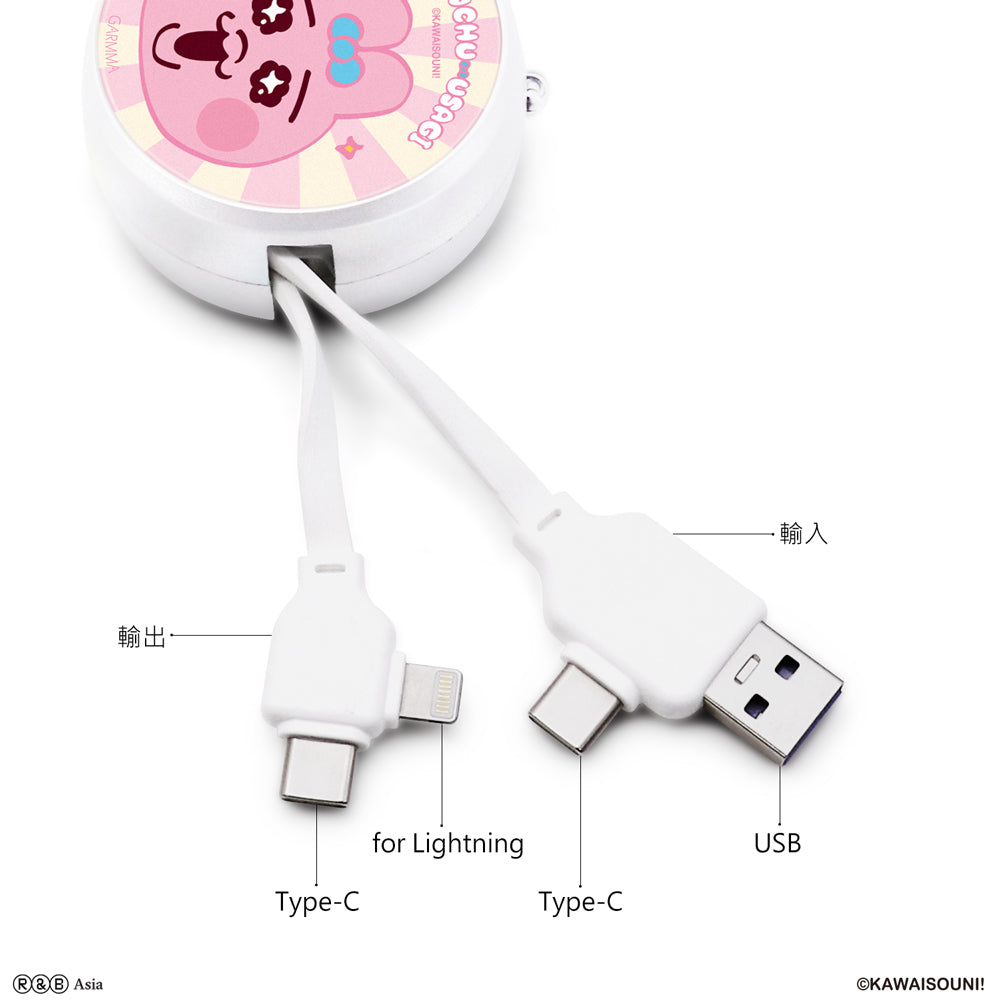 GARMMA Opanchu Usagi PD Fast Charge Lightning+Type-C Extracted Extension Cable