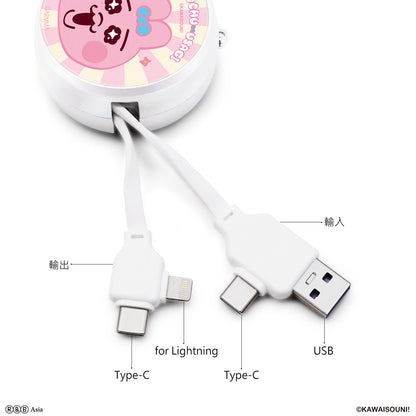 GARMMA Opanchu Usagi PD Fast Charge Lightning+Type-C Extracted Extension Cable