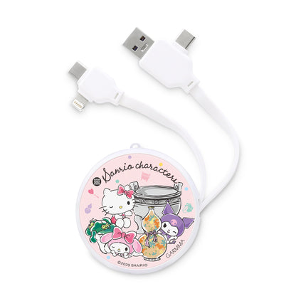 GARMMA Sanrio Characters x Palace Museum PD Fast Charge Lightning+Type-C Extracted Extension Cable