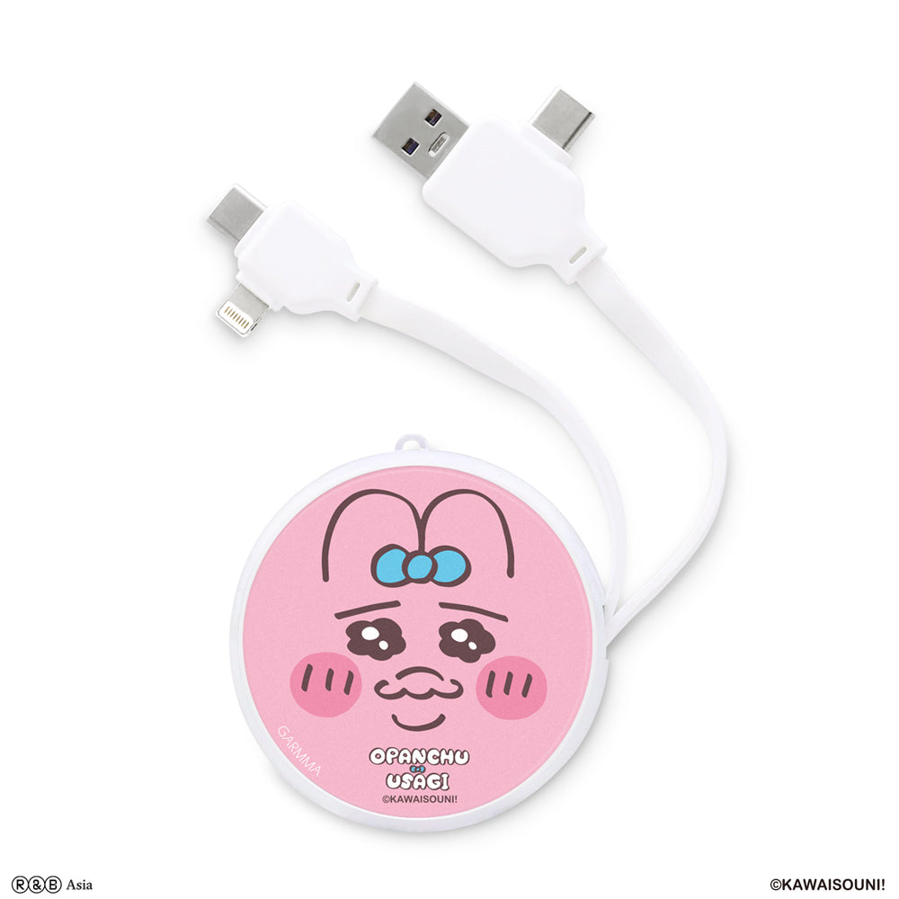 GARMMA Opanchu Usagi PD Fast Charge Lightning+Type-C Extracted Extension Cable