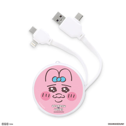 GARMMA Opanchu Usagi PD Fast Charge Lightning+Type-C Extracted Extension Cable