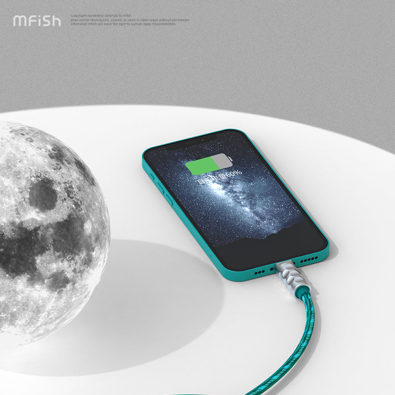 Mfish Astronaut PD Fast Charging Cable