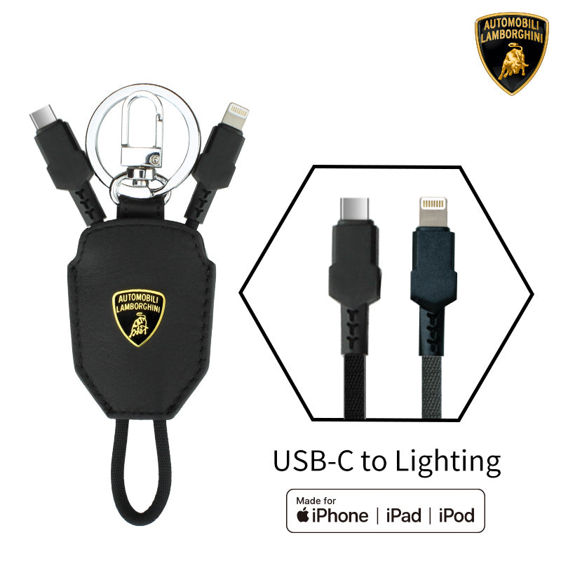 Lamborghini Premium Charging Cable - Aventador D10