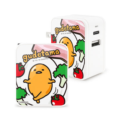 GARMMA Sanrio Characters Type-C+USB 3.4A Quick Charge Foldable Travel Charger