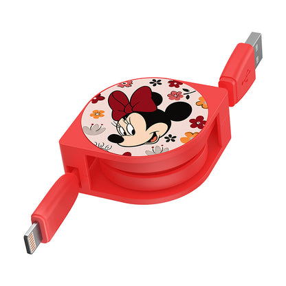 UKA Disney Mickey Mouse 1M Apple Lightning / Type-C Extracted Extension Cable