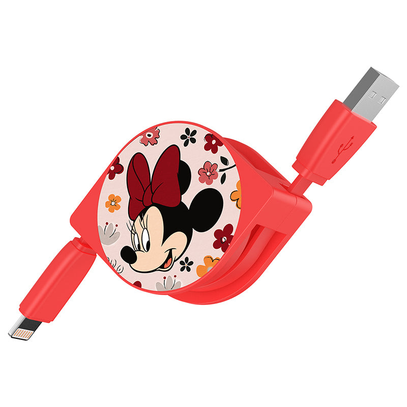 UKA Disney Mickey Mouse 1M Apple Lightning / Type-C Extracted Extension Cable